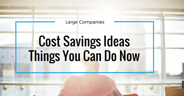 Cost savings ideas for large companies article banner