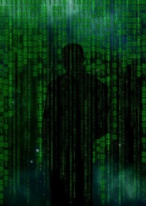 identity thief digital shadow