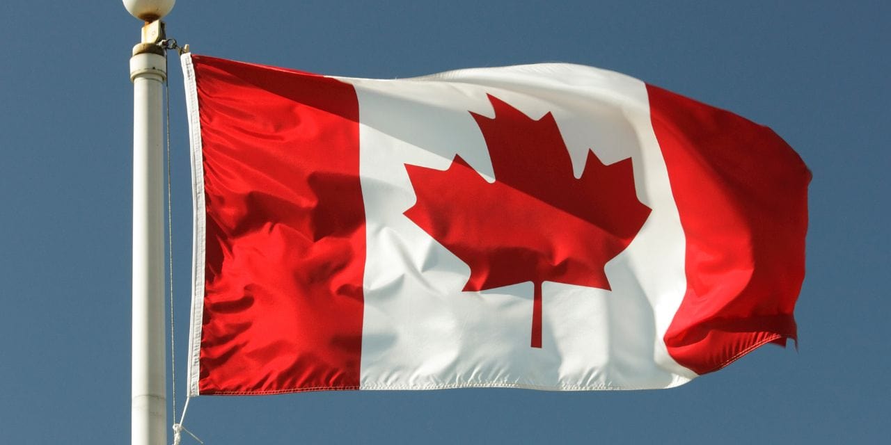 The Hidden Costs of Choosing a Multinational Shredding Provider | Blue ...